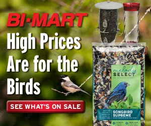 Bird Food rectangle ad